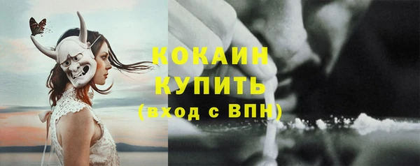 ешки Каменногорск