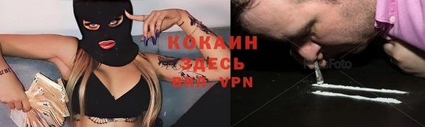 прущие грибы Вязьма