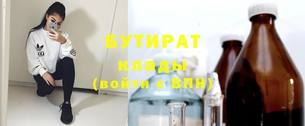 прущие грибы Вязьма