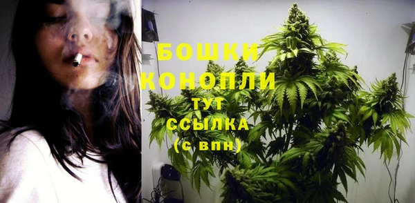 СК Вязники