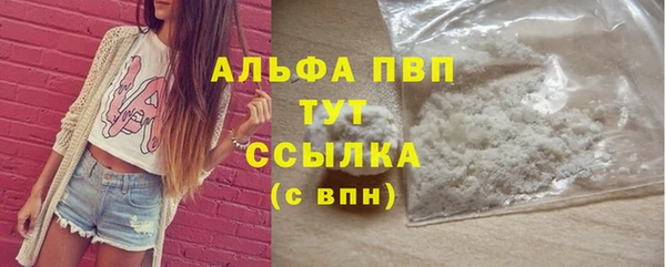 гидра Протвино