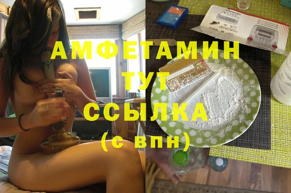 прущие грибы Вязьма