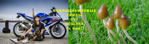 гидра Протвино
