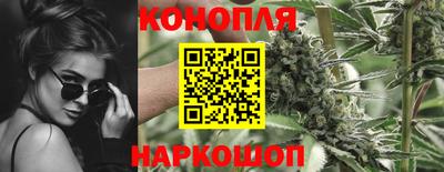 jwh Лесосибирск